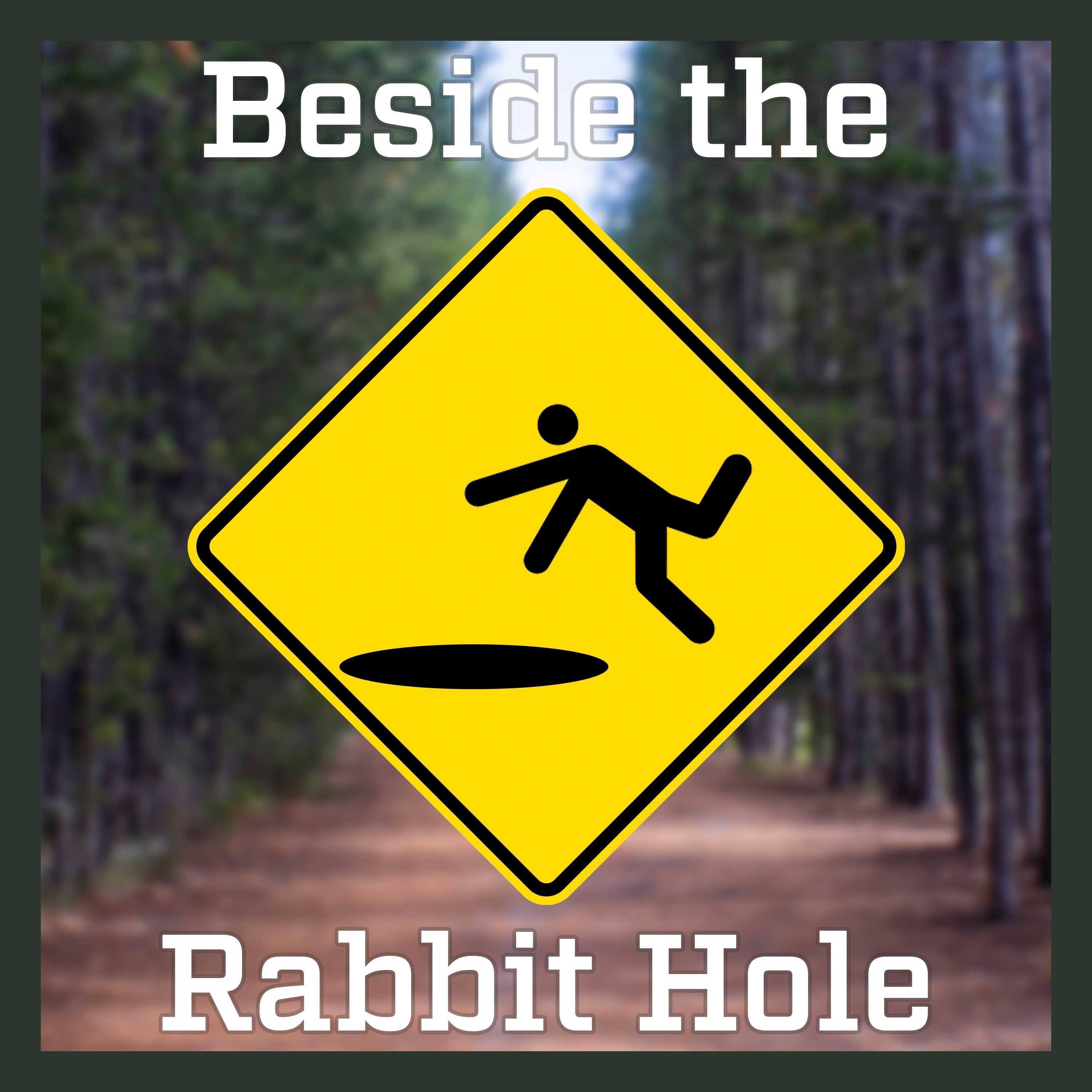 a photo of a yellow warning sign showing a person tripping into a hole. There is text above which reads 'beside the rabbit hole'
