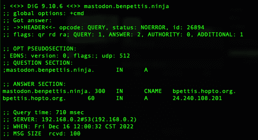 A screenshot of green text on a black background in a terminal session. It is displaying the DNS information for the URL mastodon.benpettis.ninja